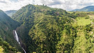 Colombia: Culture, Coffee & Caribbean