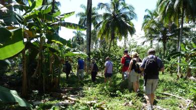 Cuba: La Isla Grande