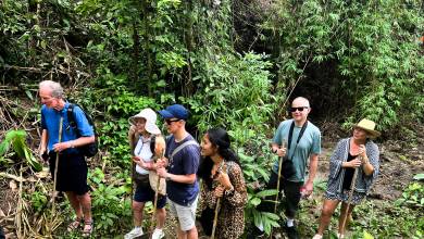 Highlights of Northern Thailand