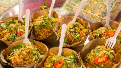 Highlights of Northern Thailand