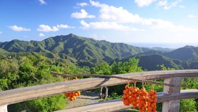Cuba: La Isla Grande