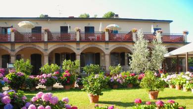 Tuscany Walks & Chianti Wines