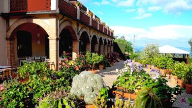 Tuscany Walks & Chianti Wines
