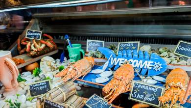 Walking Portugal’s Wild Algarve