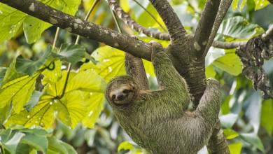 Discover Costa Rica – Coastal Edition