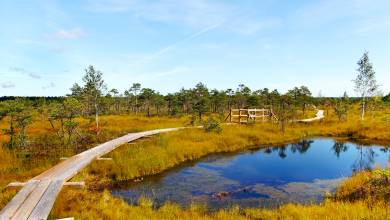 Walks of the Baltics and Finland