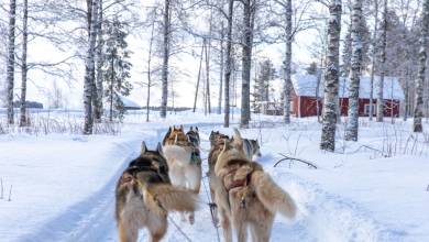 Finland Family Winter Adventure