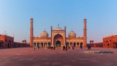 India’s Taj Mahal and Tigers – Premium Adventure