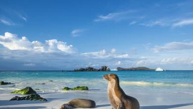 Island Hopping in the Galapagos