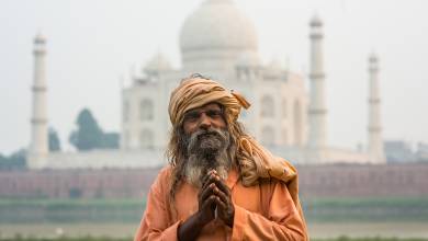 India’s Taj Mahal and Tigers – Premium Adventure