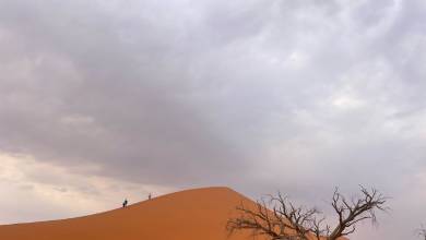 Botswana & Namibia: Delta & Dunes