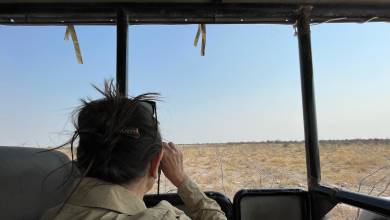 Botswana & Namibia: Delta & Dunes