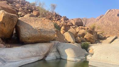 Botswana & Namibia: Delta & Dunes