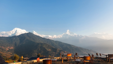 Annapurna to Chitwan: Walks & Wildlife