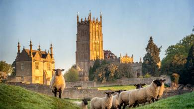 Walking the Cotswolds – Private Group Adventure