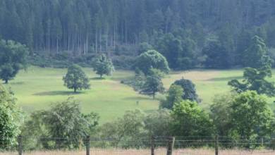 Classic Scotland: Edinburgh to the Highlands