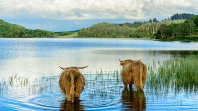 Classic Scotland: Edinburgh to the Highlands