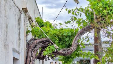 Walking on the Greek Islands