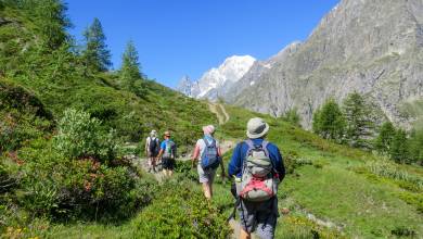 Tour du Mont Blanc Hotel Trek