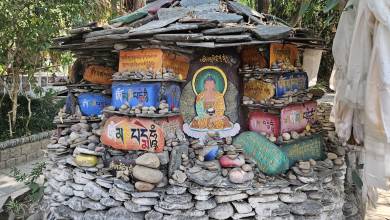 Foothills of the Himalaya