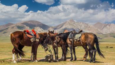 The Five Stans of the Silk Road – Ashgabat to Almaty