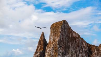 Galapagos Walking Adventure