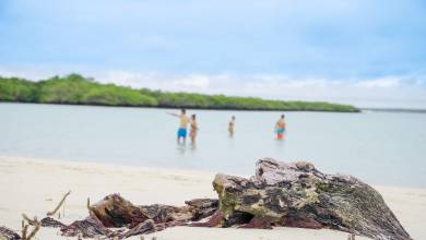 Galapagos Walking Adventure