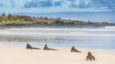 Galapagos Walking Adventure