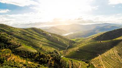 Discover Northern Portugal – Premium Adventure