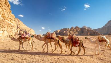 Kingdoms of Jordan – Premium Adventure