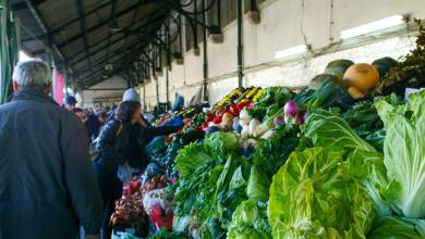 Discover Northern Portugal – Premium Adventure