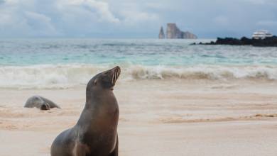 Galapagos Walking Adventure