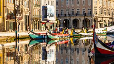 Discover Northern Portugal – Premium Adventure