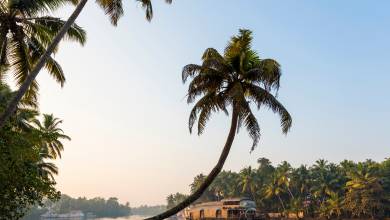 Discover South India – Premium Adventure