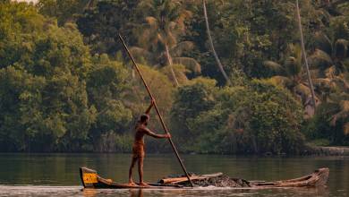 Highlights of Kerala