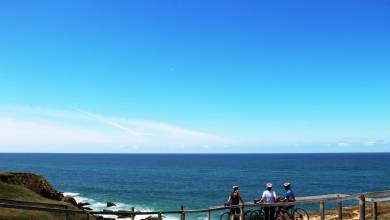 Coimbra to Lisbon Cycling