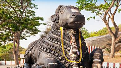 Discover South India – Premium Adventure