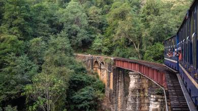 Discover South India – Premium Adventure