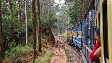 Discover South India – Premium Adventure