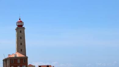 Coimbra to Lisbon Cycling