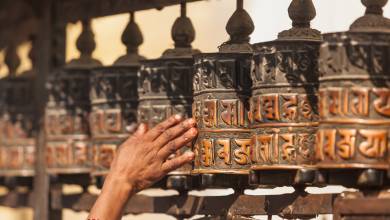 Annapurna to Chitwan: Walks & Wildlife