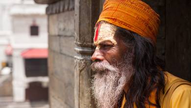 Annapurna to Chitwan: Walks & Wildlife