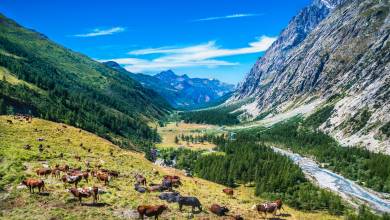 Tour du Mont Blanc Hotel Trek