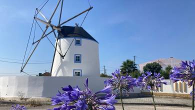 Coimbra to Lisbon Cycling