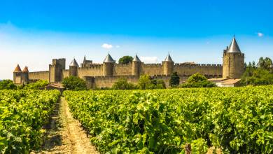Carcassonne vineyards