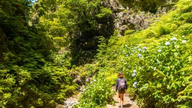 Madeira Discovery – Premium Adventure