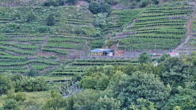 Madeira Discovery – Premium Adventure