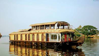 Discover South India – Premium Adventure