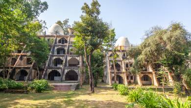 Foothills of the Himalaya