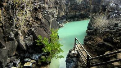 Highlights of Ecuador & the Galapagos